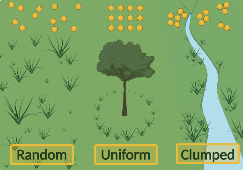 Visual comparison of random, uniform, and clumped distributions